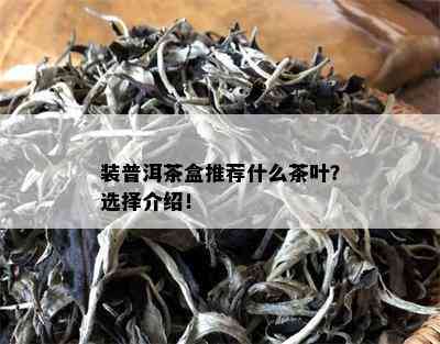 装普洱茶盒推荐什么茶叶？选择介绍！