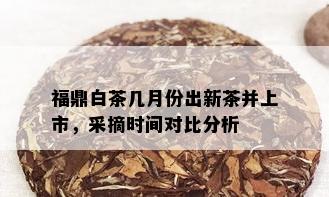 福鼎白茶几月份出新茶并上市，采摘时间对比分析