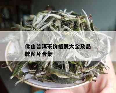 佛山普洱茶价格表大全及品牌图片合集