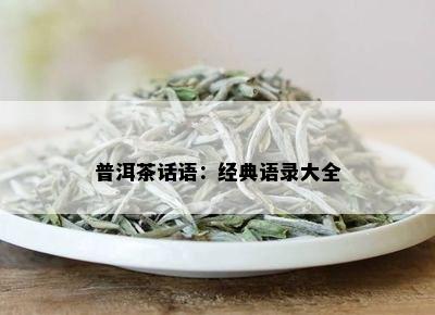 普洱茶话语：经典语录大全