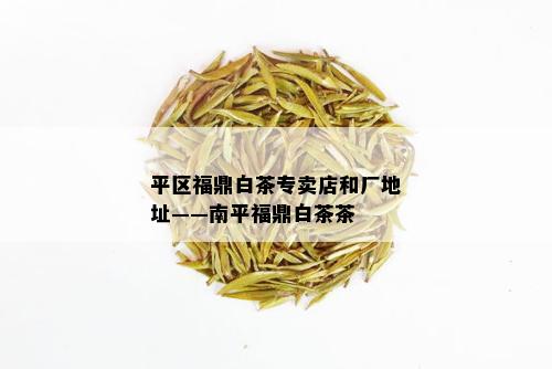 平区福鼎白茶专卖店和厂地址——南平福鼎白茶茶