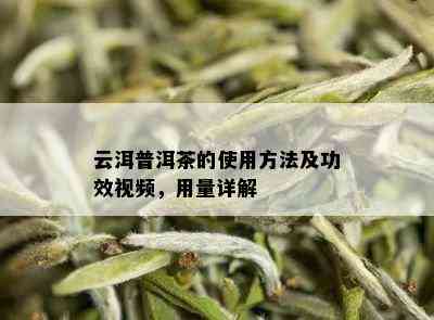 云洱普洱茶的使用方法及功效视频，用量详解