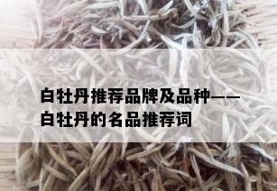 白牡丹推荐品牌及品种——白牡丹的名品推荐词