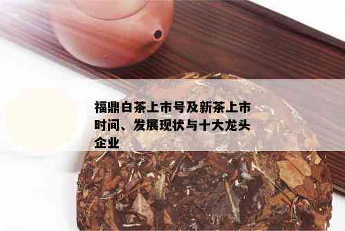 福鼎白茶上市号及新茶上市时间、发展现状与十大龙头企业