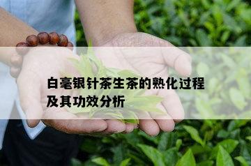 白毫银针茶生茶的熟化过程及其功效分析