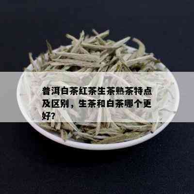 普洱白茶红茶生茶熟茶特点及区别，生茶和白茶哪个更好？