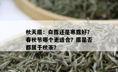 秋天眉：白露还是寒露好？春秋节哪个更适合？眉是否都属于秋茶？