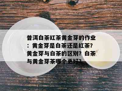 普洱白茶红茶黄金芽的作业：黄金芽是白茶还是红茶？黄金芽与白茶的区别？白茶与黄金芽茶哪个更好？