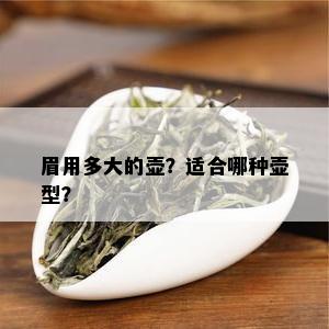 眉用多大的壶？适合哪种壶型？