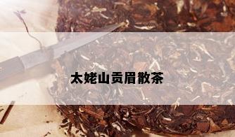 太姥山贡眉散茶