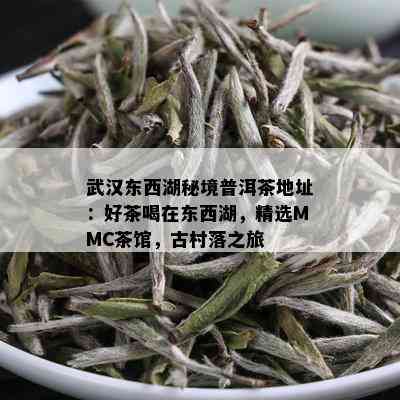 武汉东西湖秘境普洱茶地址：好茶喝在东西湖，精选MMC茶馆，古村落之旅