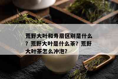 荒野大叶和寿眉区别是什么？荒野大叶是什么茶？荒野大叶茶怎么冲泡？