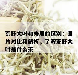 荒野大叶和寿眉的区别：图片对比和解析，了解荒野大叶是什么茶