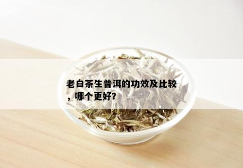 老白茶生普洱的功效及比较，哪个更好？