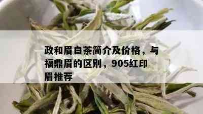 政和眉白茶简介及价格，与福鼎眉的区别，905红印眉推荐