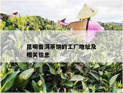 昆明普洱茶饼的工厂地址及相关信息