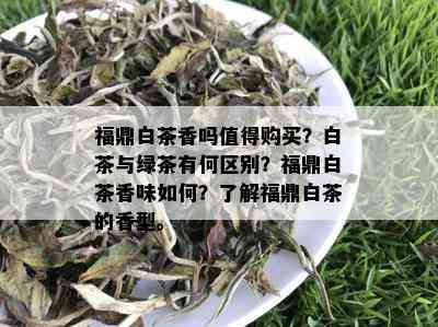 福鼎白茶香吗值得购买？白茶与绿茶有何区别？福鼎白茶香味如何？了解福鼎白茶的香型。