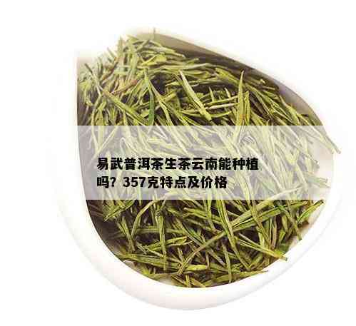 易武普洱茶生茶云南能种植吗？357克特点及价格