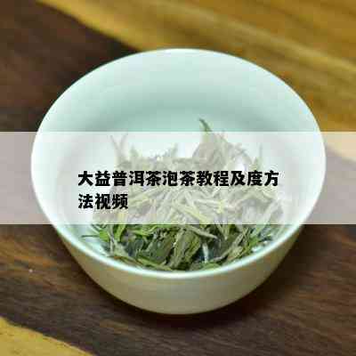 大益普洱茶泡茶教程及度方法视频