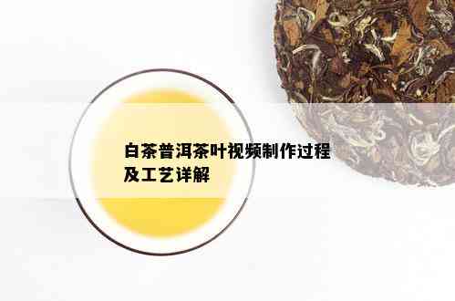 白茶普洱茶叶视频制作过程及工艺详解