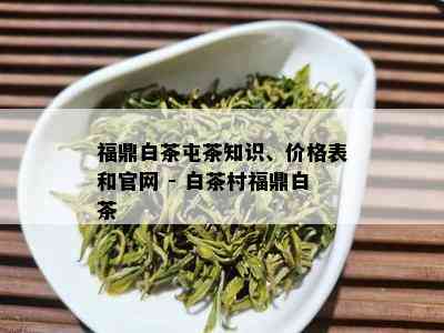 福鼎白茶屯茶知识、价格表和官网 - 白茶村福鼎白茶