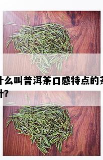 什么叫普洱茶口感特点的茶叶？