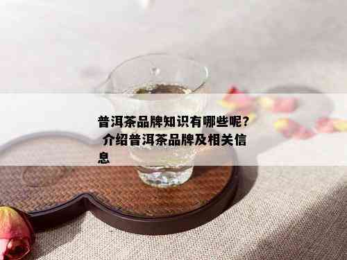 普洱茶品牌知识有哪些呢? 介绍普洱茶品牌及相关信息