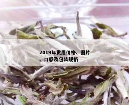 2019年贡眉价格、图片、口感及包装规格