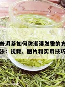 普洱茶如何防潮湿发霉的方法：视频、图片和实用技巧