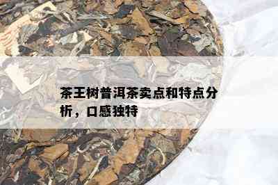 茶王树普洱茶卖点和特点分析，口感独特