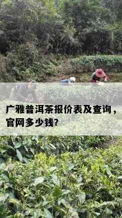 广雅普洱茶报价表及查询，官网多少钱？