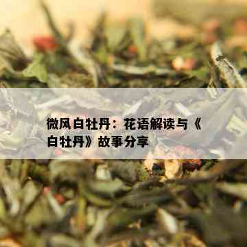 微风白牡丹：花语解读与《白牡丹》故事分享