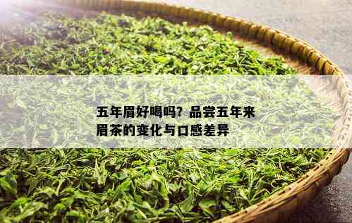 五年眉好喝吗？品尝五年来眉茶的变化与口感差异