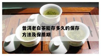 普洱老白茶能存多久的保存方法及保质期