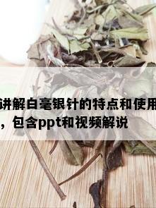 讲解白毫银针的特点和使用，包含ppt和视频解说