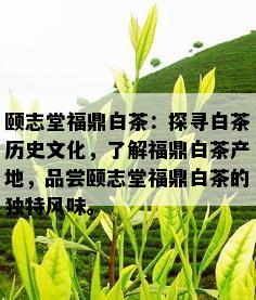 颐志堂福鼎白茶：探寻白茶历史文化，了解福鼎白茶产地，品尝颐志堂福鼎白茶的独特风味。