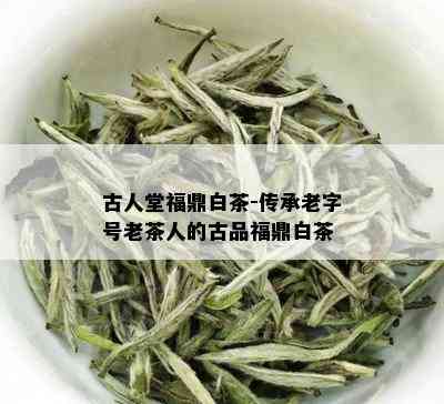 古人堂福鼎白茶-传承老字号老茶人的古品福鼎白茶