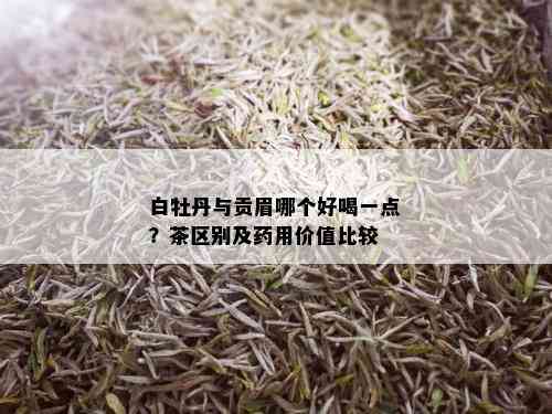 白牡丹与贡眉哪个好喝一点？茶区别及用价值比较