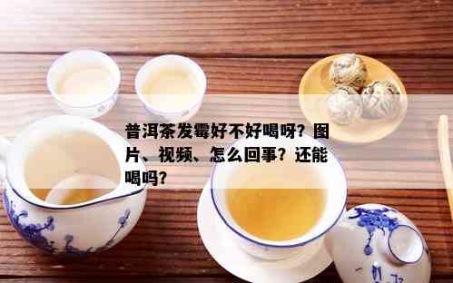 普洱茶发霉好不好喝呀？图片、视频、怎么回事？还能喝吗？