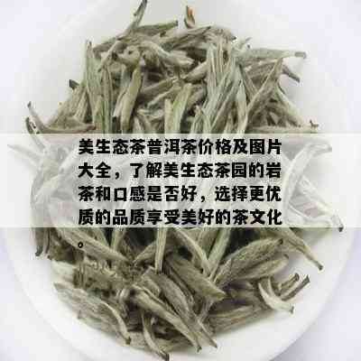 美生态茶普洱茶价格及图片大全，了解美生态茶园的岩茶和口感是否好，选择更优质的品质享受美好的茶文化。