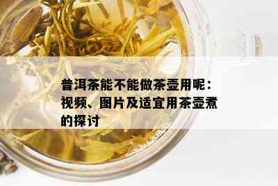 普洱茶能不能做茶壶用呢：视频、图片及适宜用茶壶煮的探讨