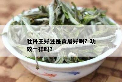 牡丹王好还是贡眉好喝？功效一样吗？