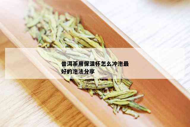 普洱茶用保温杯怎么冲泡更好的泡法分享