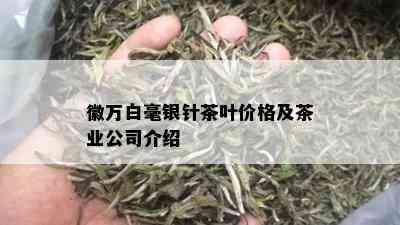 徽万白毫银针茶叶价格及茶业公司介绍