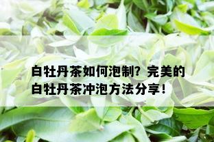 白牡丹茶如何泡制？完美的白牡丹茶冲泡方法分享！