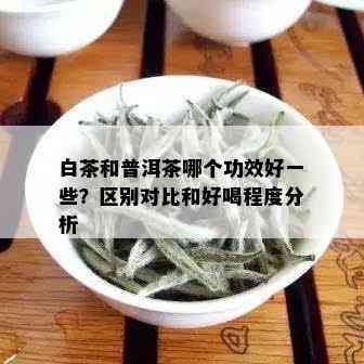 白茶和普洱茶哪个功效好一些？区别对比和好喝程度分析