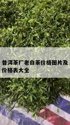 普洱茶厂老白茶价格图片及价格表大全