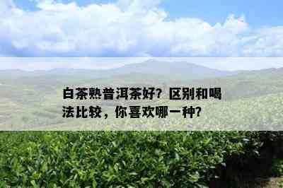 白茶熟普洱茶好？区别和喝法比较，你喜欢哪一种？