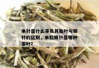 米针是什么茶及其胎叶与银针的区别，米粒银针是哪种茶叶？