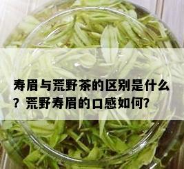 寿眉与荒野茶的区别是什么？荒野寿眉的口感如何？